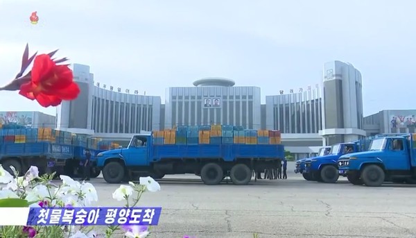 김일성·김정일 초상이 걸려 있는 건물 앞에 주차된 복숭아 화물차들. 사진=dprk today
